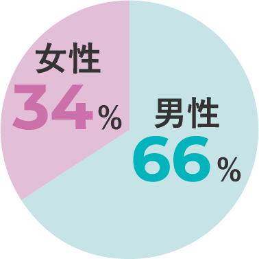 女性34%/男性66%